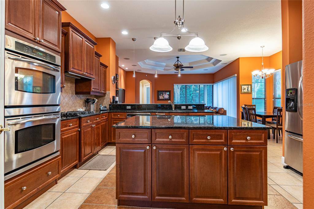 3027 Sheehan Drive, Land O Lakes, FL 34638