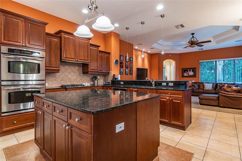 3027 Sheehan Drive, Land O Lakes, FL 34638