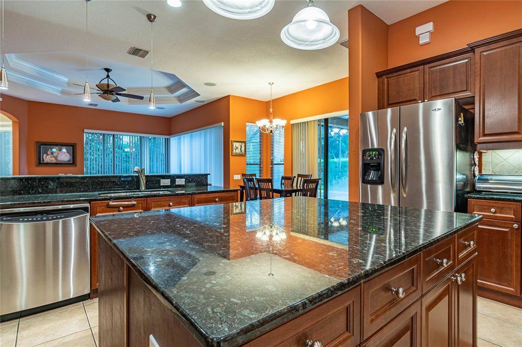 3027 Sheehan Drive, Land O Lakes, FL 34638