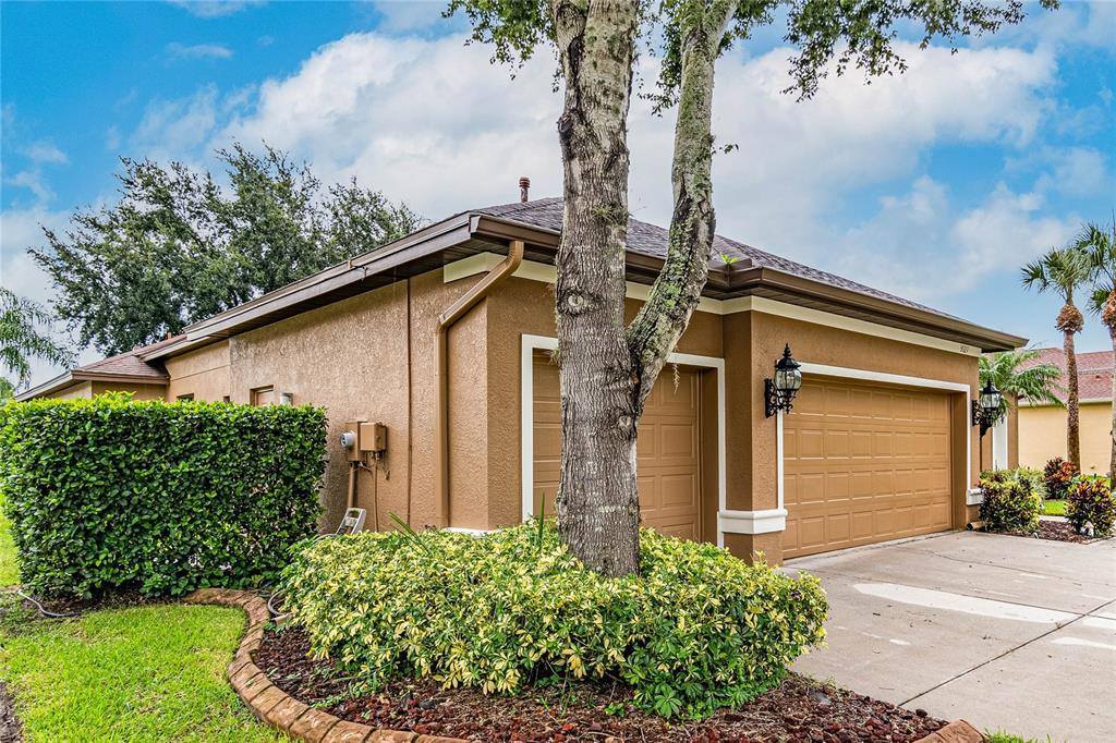 3027 Sheehan Drive, Land O Lakes, FL 34638