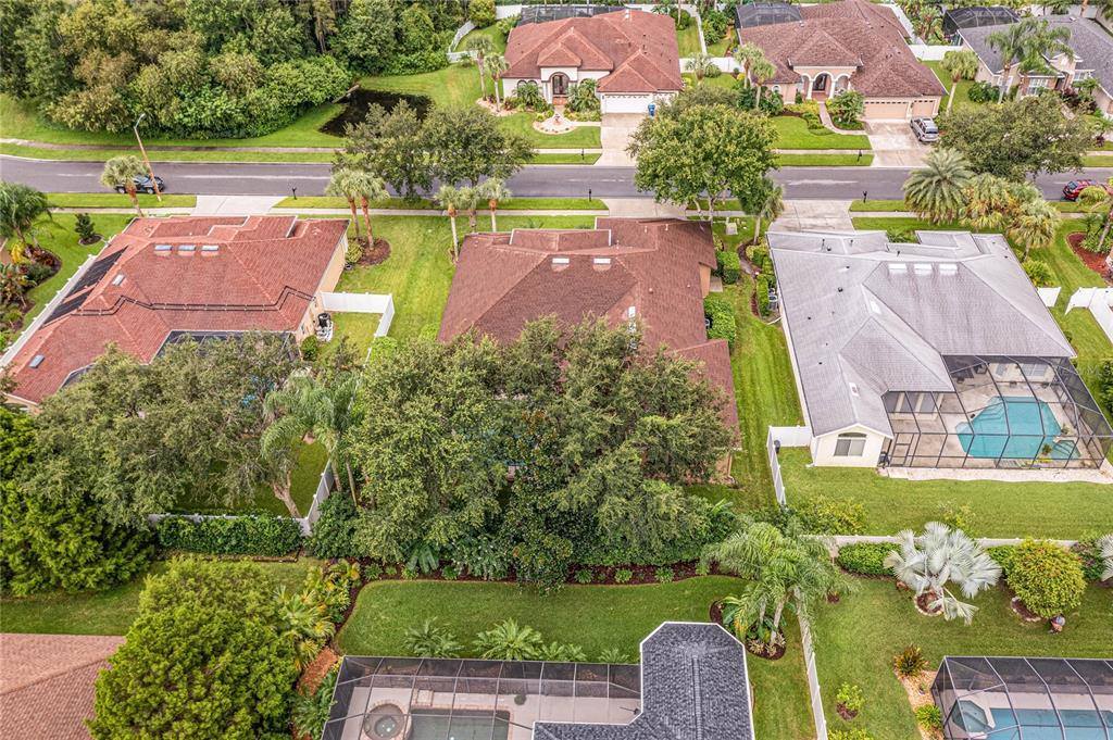 3027 Sheehan Drive, Land O Lakes, FL 34638