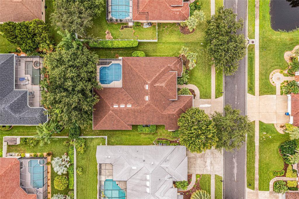 3027 Sheehan Drive, Land O Lakes, FL 34638