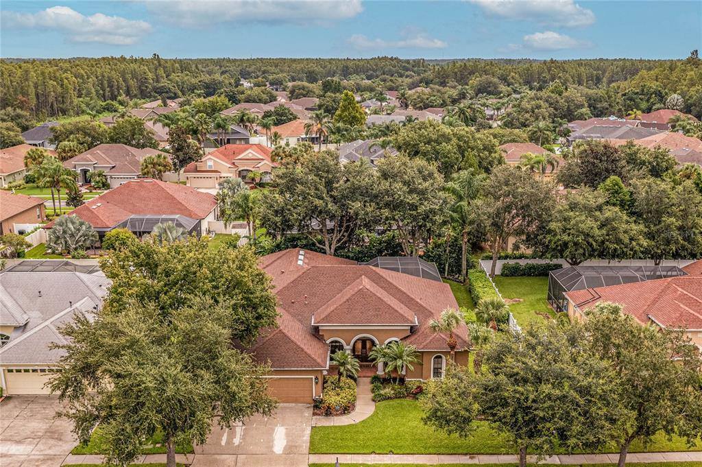 3027 Sheehan Drive, Land O Lakes, FL 34638