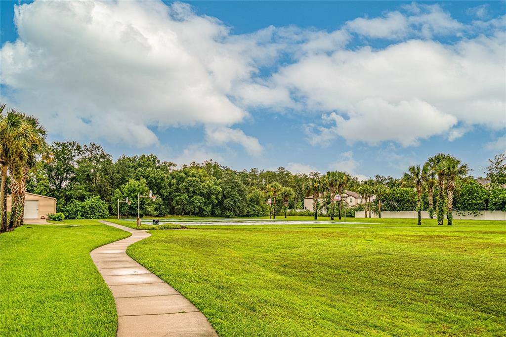 3027 Sheehan Drive, Land O Lakes, FL 34638