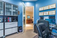 3027 Sheehan Drive, Land O Lakes, FL 34638