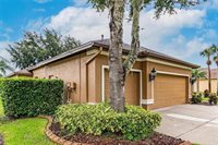 3027 Sheehan Drive, Land O Lakes, FL 34638