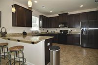 203 Sunny View, Lexington, SC 29073