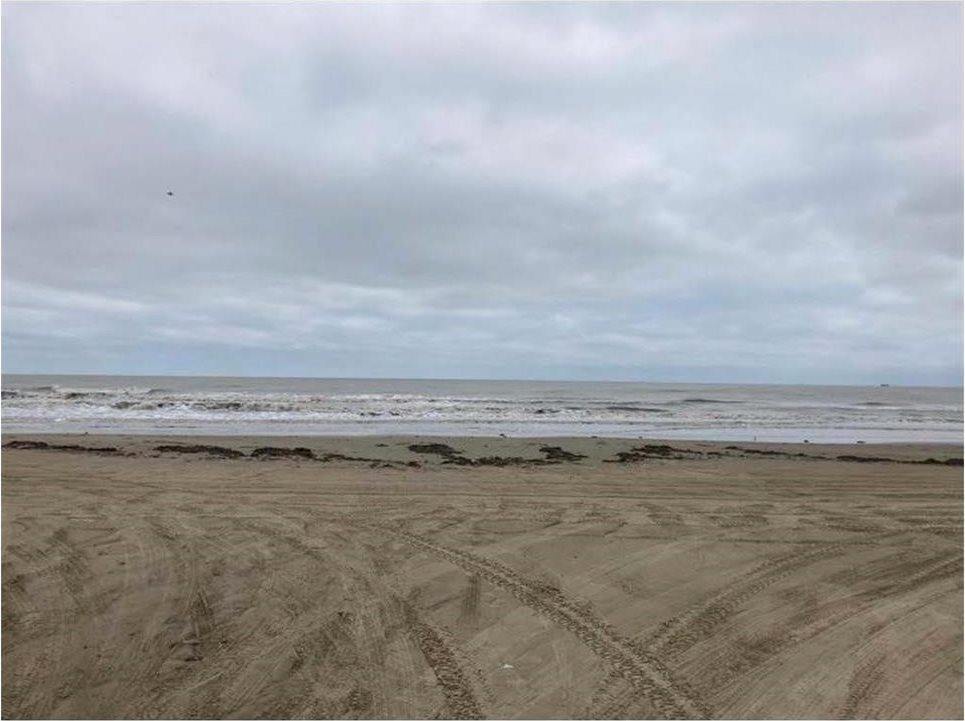 Lot 4 Selwyn Road, Crystal Beach, TX 77650