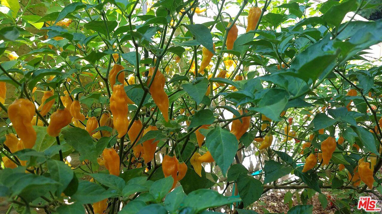 22858 Gault St, West Hills, CA 91307