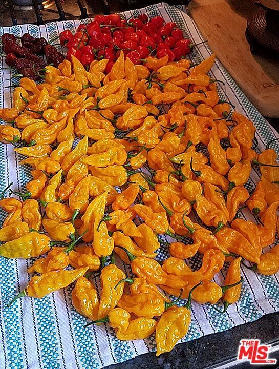 22858 Gault St, West Hills, CA 91307