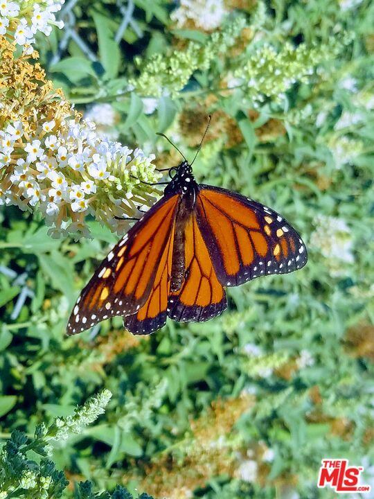 22858 Gault St, West Hills, CA 91307