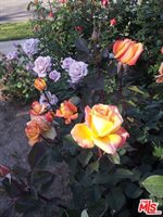 22858 Gault St, West Hills, CA 91307