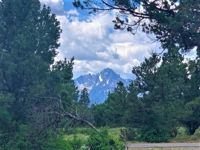 Badger Trail N (lot537), Ridgway, CO 81432