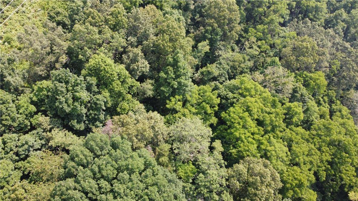 TBD England Road, Canton, NC 28716