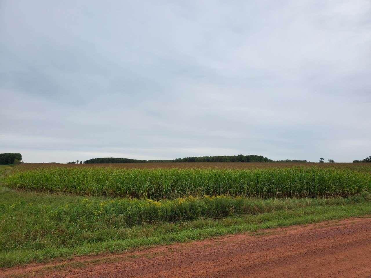 153rd Road, Spencer, WI 54479