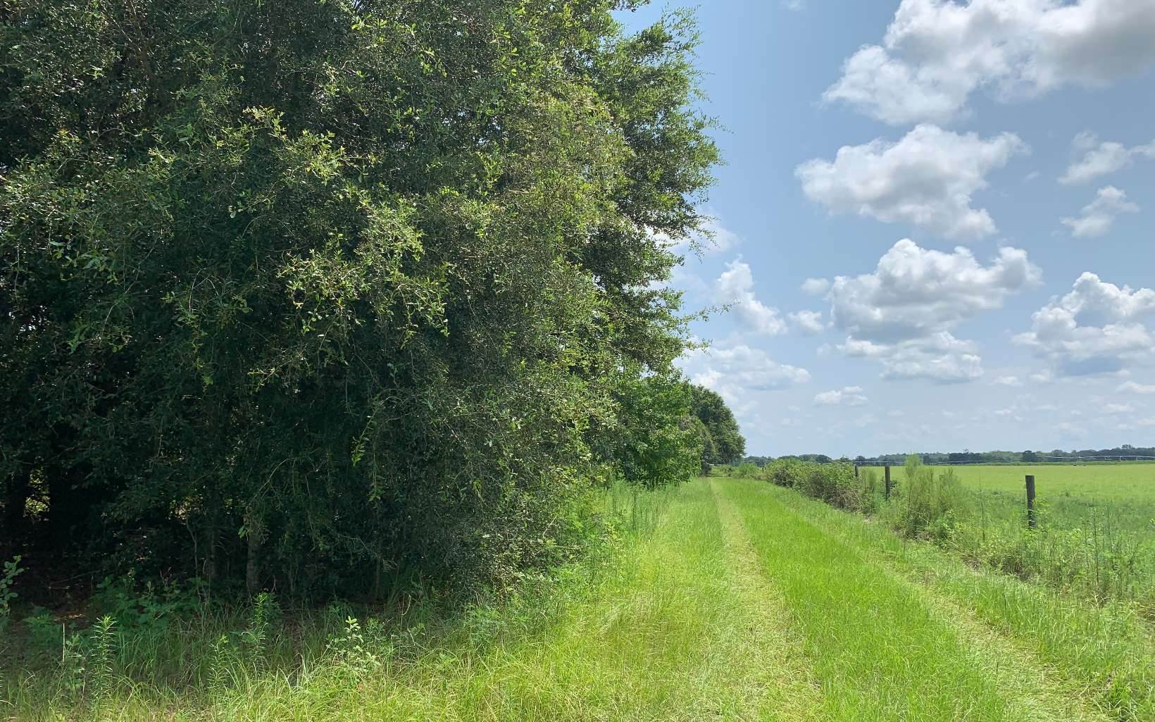 TBD East 167th Road, Live Oak, FL 32060