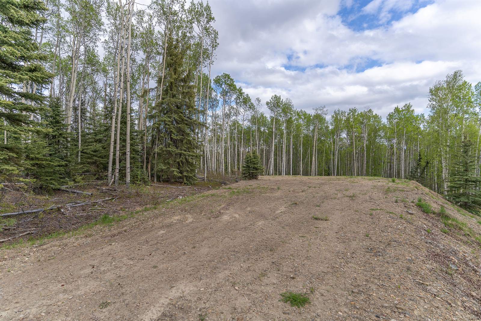 NHN Treasure, Lot 5, block 4, Fairbanks, AK 99712