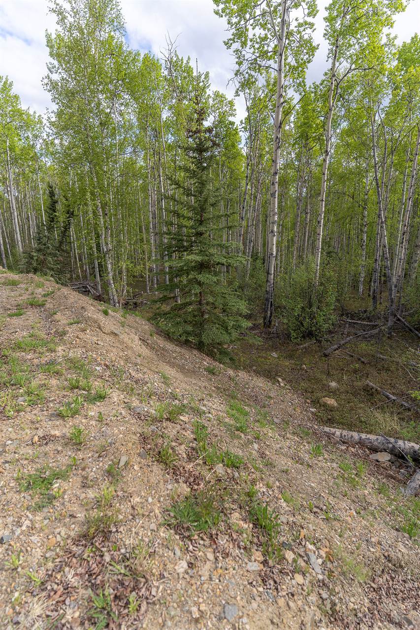 NHN Treasure, Lot 5, block 4, Fairbanks, AK 99712