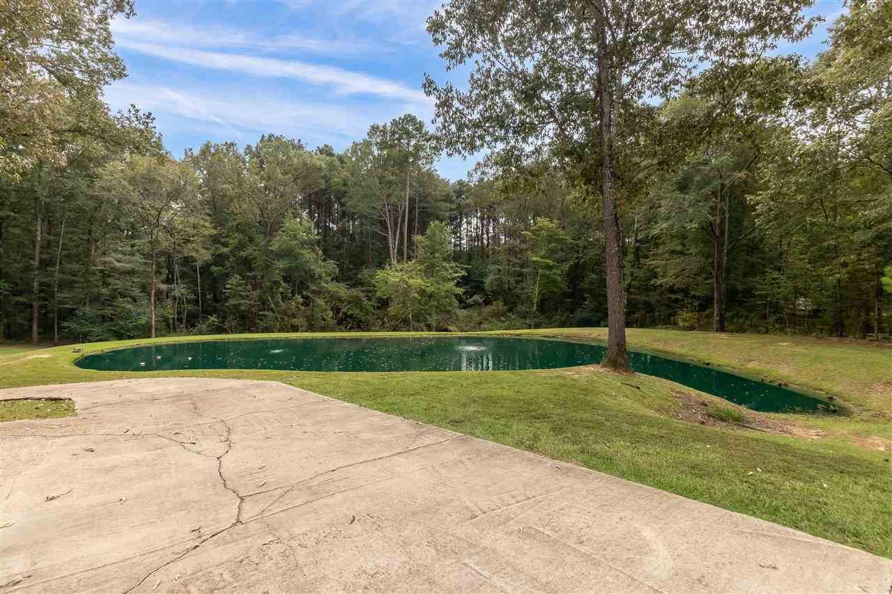 117 Pine Creek Cv, Terry, MS 39170