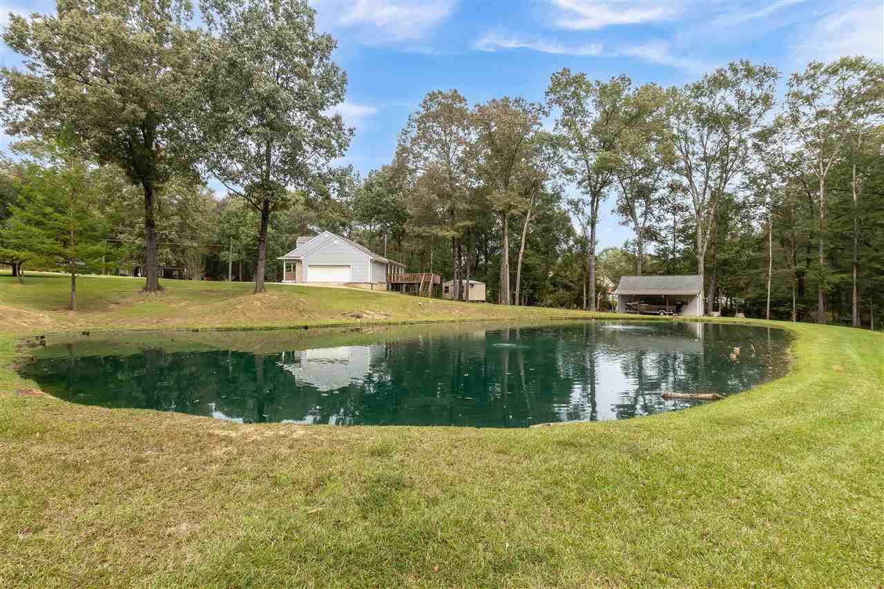 117 Pine Creek Cv, Terry, MS 39170