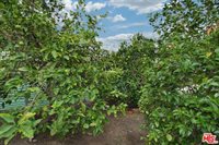 12922 Osborne Street, Arleta, CA 91331