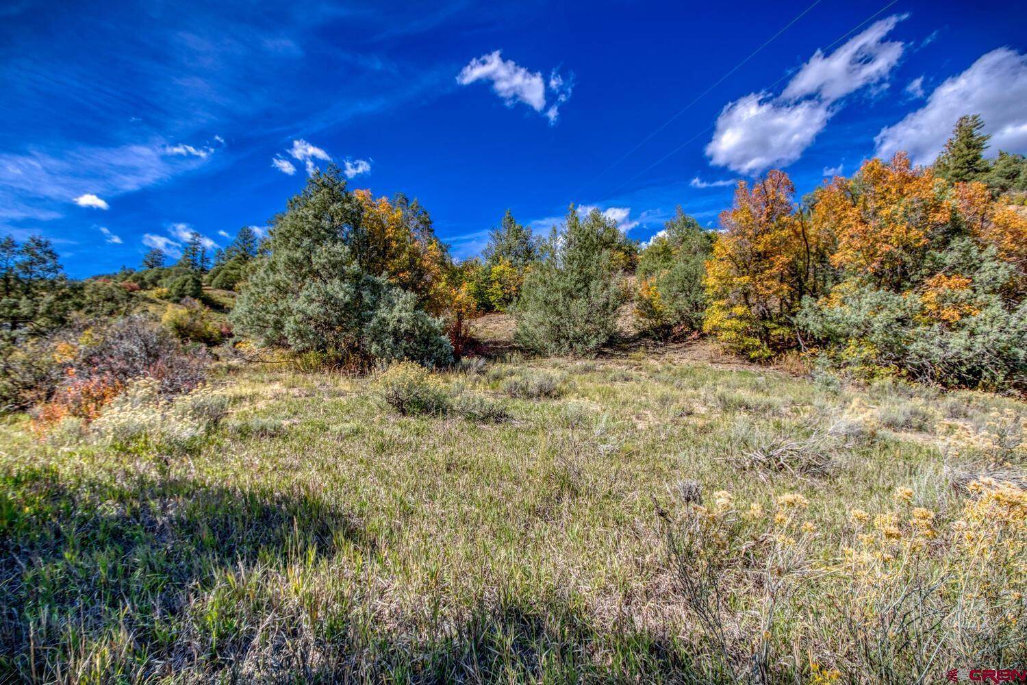 2805 County Rd 335, Pagosa Springs, CO 81147