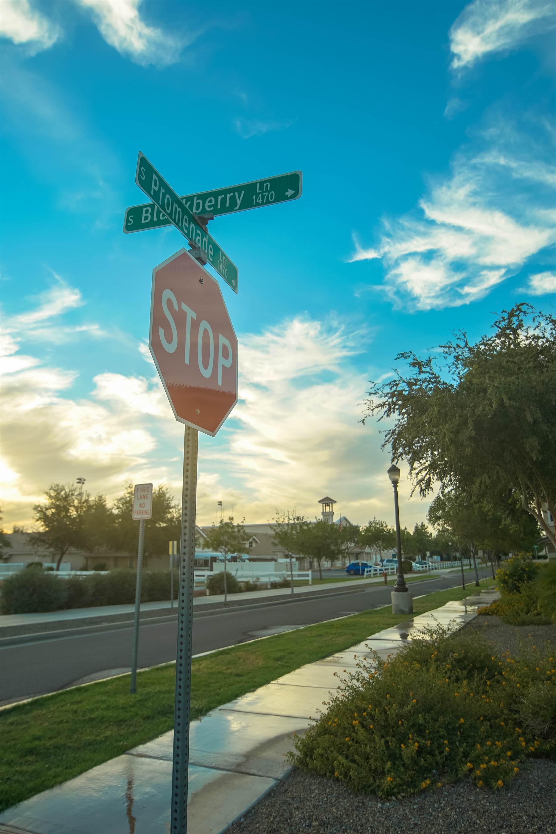 1456 Blackberry Ln, Gilbert, AZ 85296