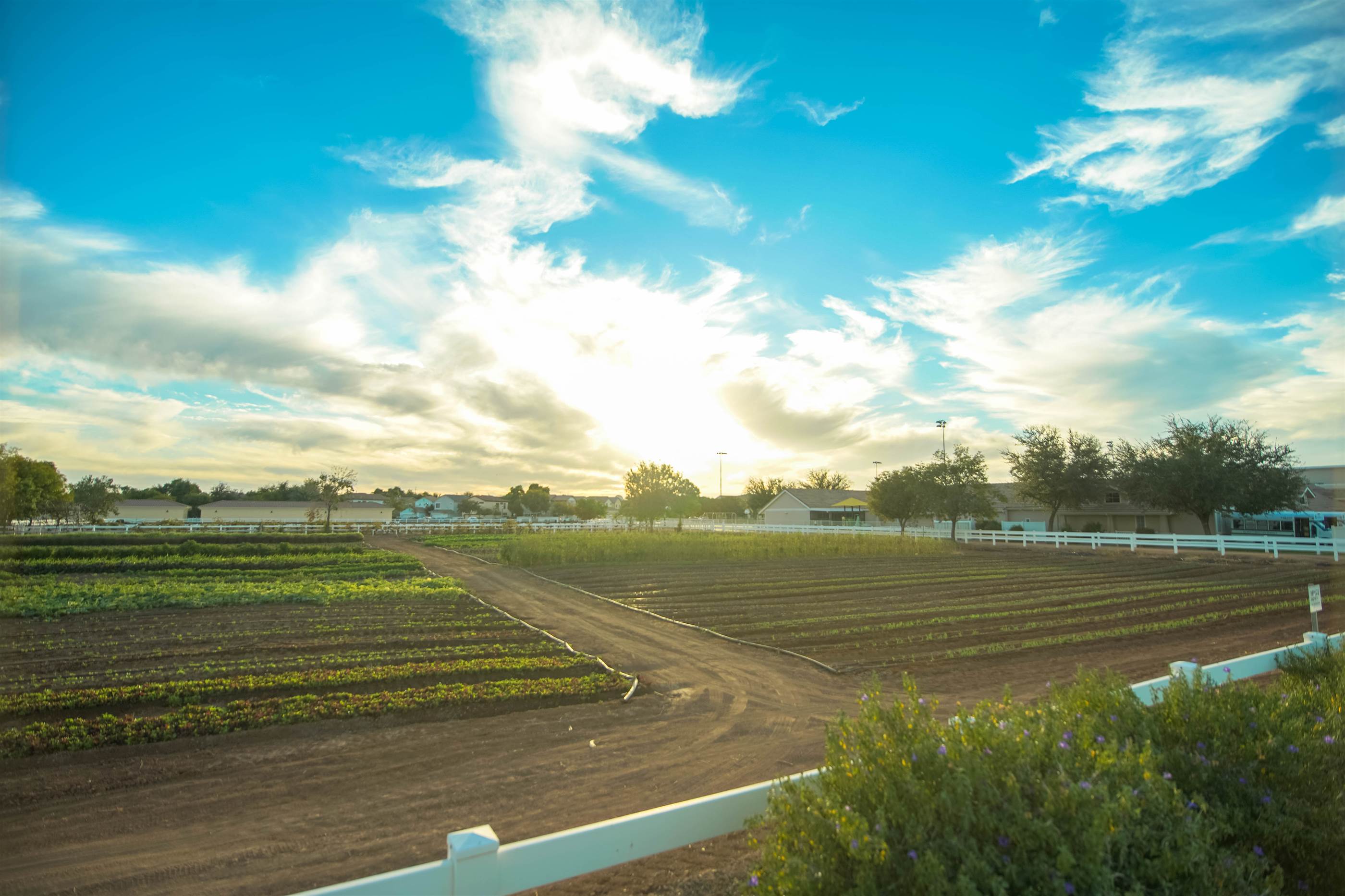 1456 Blackberry Ln, Gilbert, AZ 85296