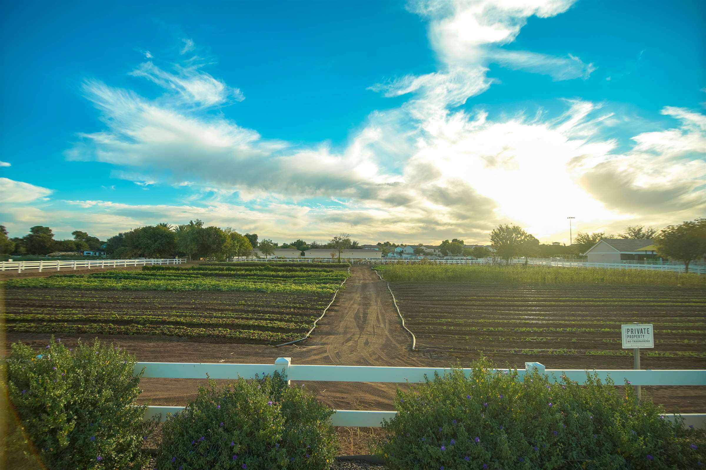 1456 Blackberry Ln, Gilbert, AZ 85296