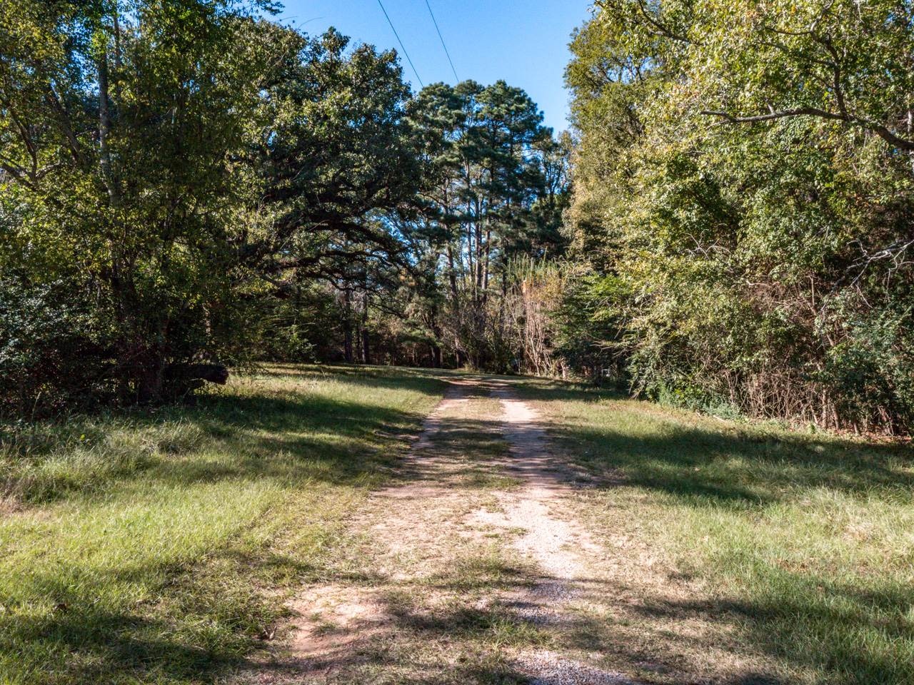 TBD County Road 227, #14388 County Road 227, Arp, TX 75750