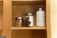 1508 North Forest Park Avenue, Baltimore, MD 21207