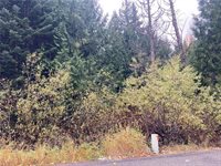 0 Kendall Place, Snoqualmie Pass, WA 98068