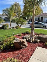 1390 Black Forest DR, Hollister, CA 95023