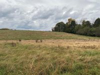 0 Long Hollow Rd, Ringgold, GA 30736