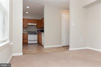 603 Collett Street, Baltimore, MD 21217