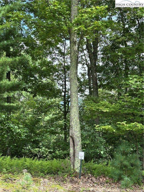 Two Lots: 9 & 10 Sunset Ridge Drive, Boone, NC 28607