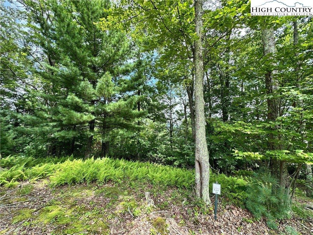 Two Lots: 9 & 10 Sunset Ridge Drive, Boone, NC 28607