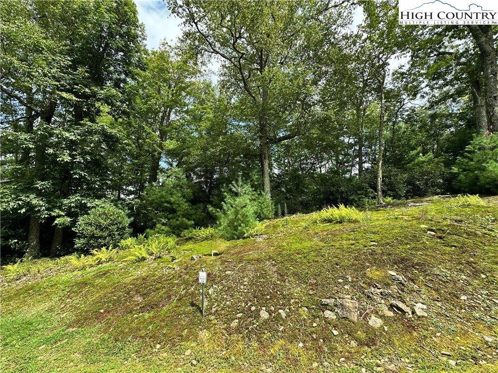 Two Lots: 9 & 10 Sunset Ridge Drive, Boone, NC 28607