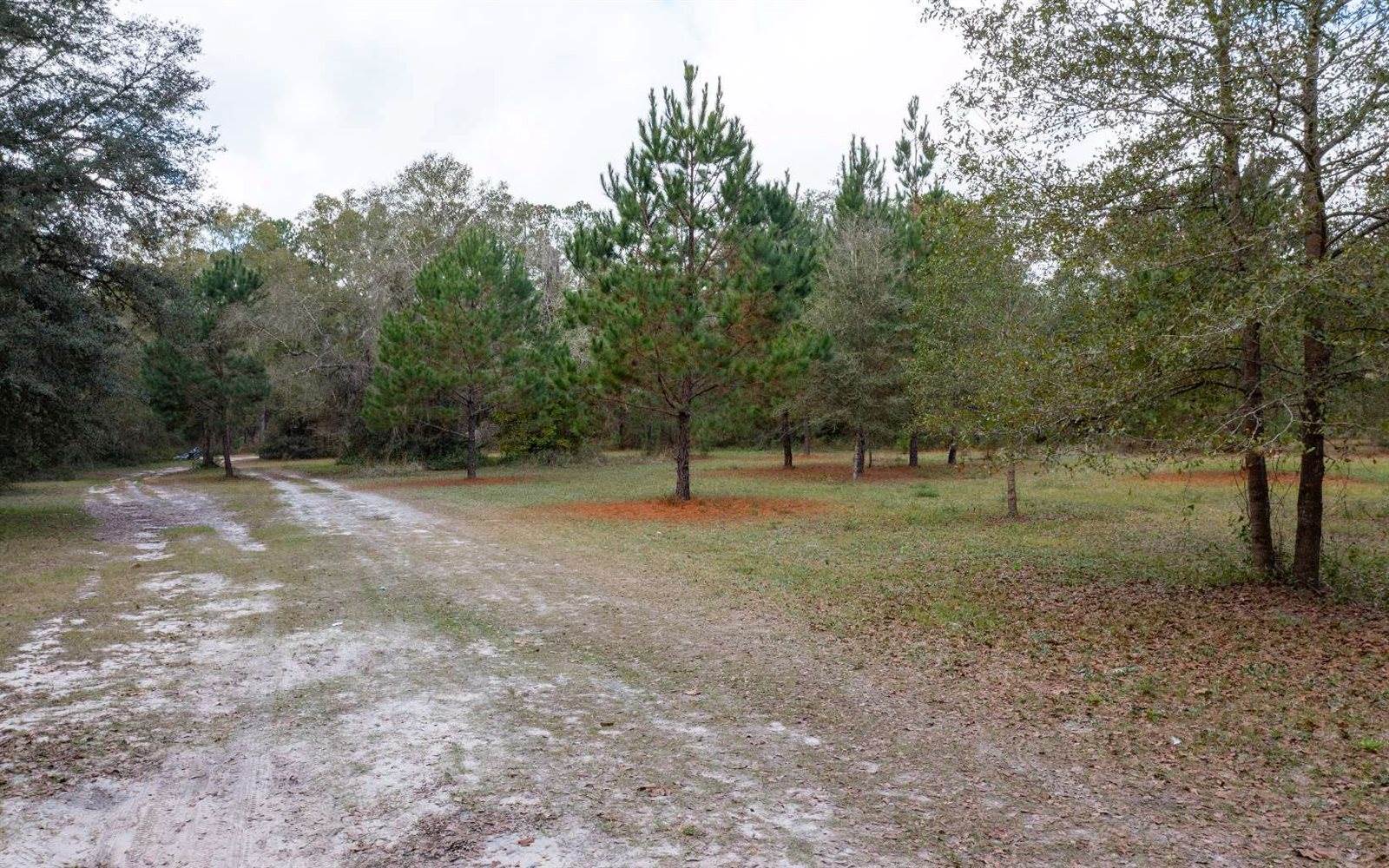 249 SE Mayhall Terrace, Lake City, FL 32025