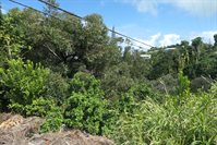 625 Lihau Pl, Haiku, HI 96708
