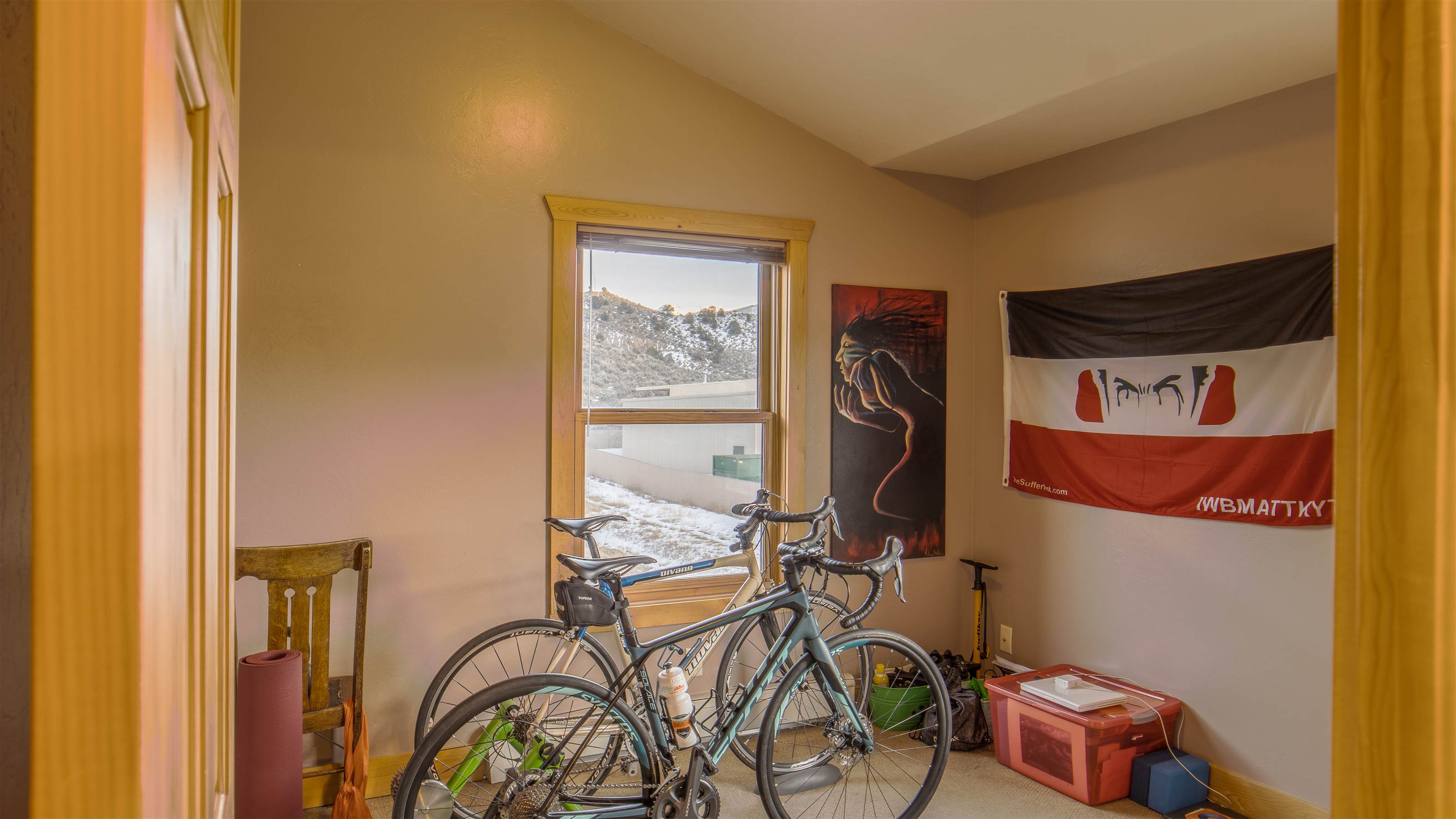 344 Escalante Circle, #b, Ridgway, CO 81432