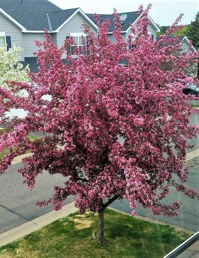 1209 Bergmann Drive, Stillwater, MN 55082