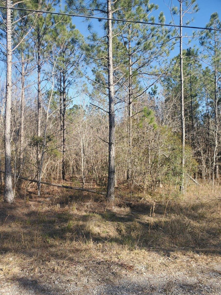 0 N Swan Ext, Gulfport, MS 39503