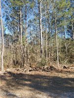 0 N Swan Ext, Gulfport, MS 39503