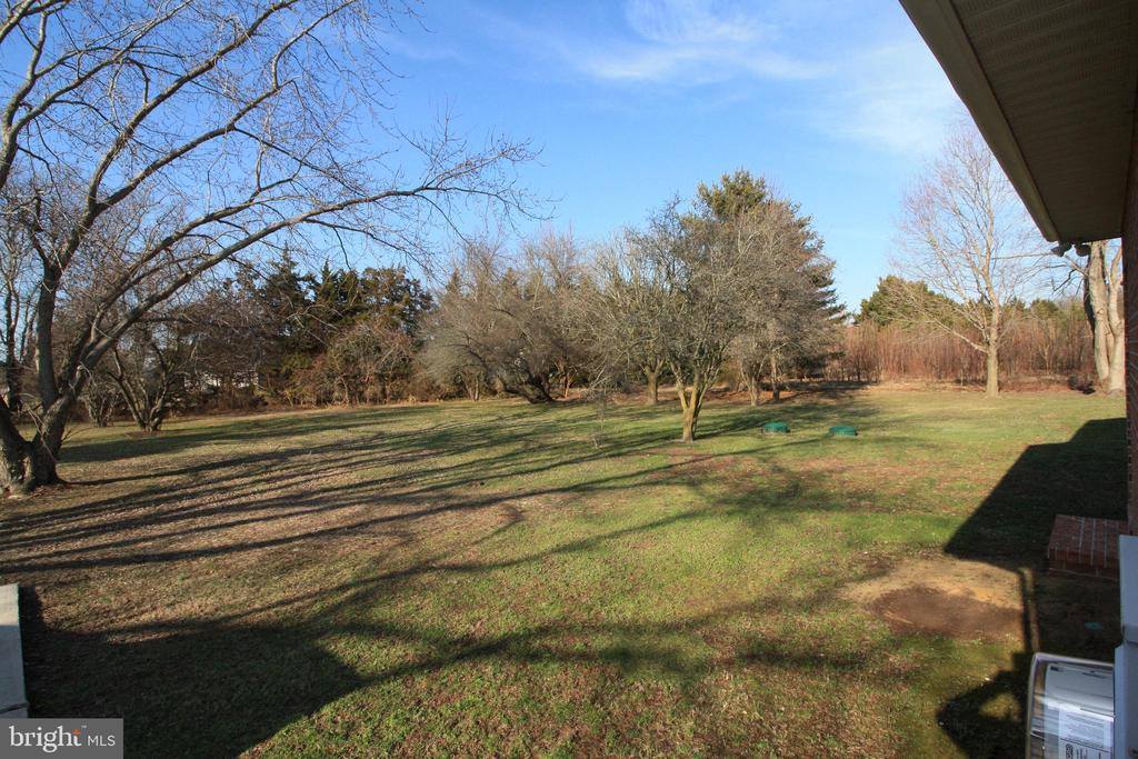 28533 Cave Neck Road, Milton, DE 19968