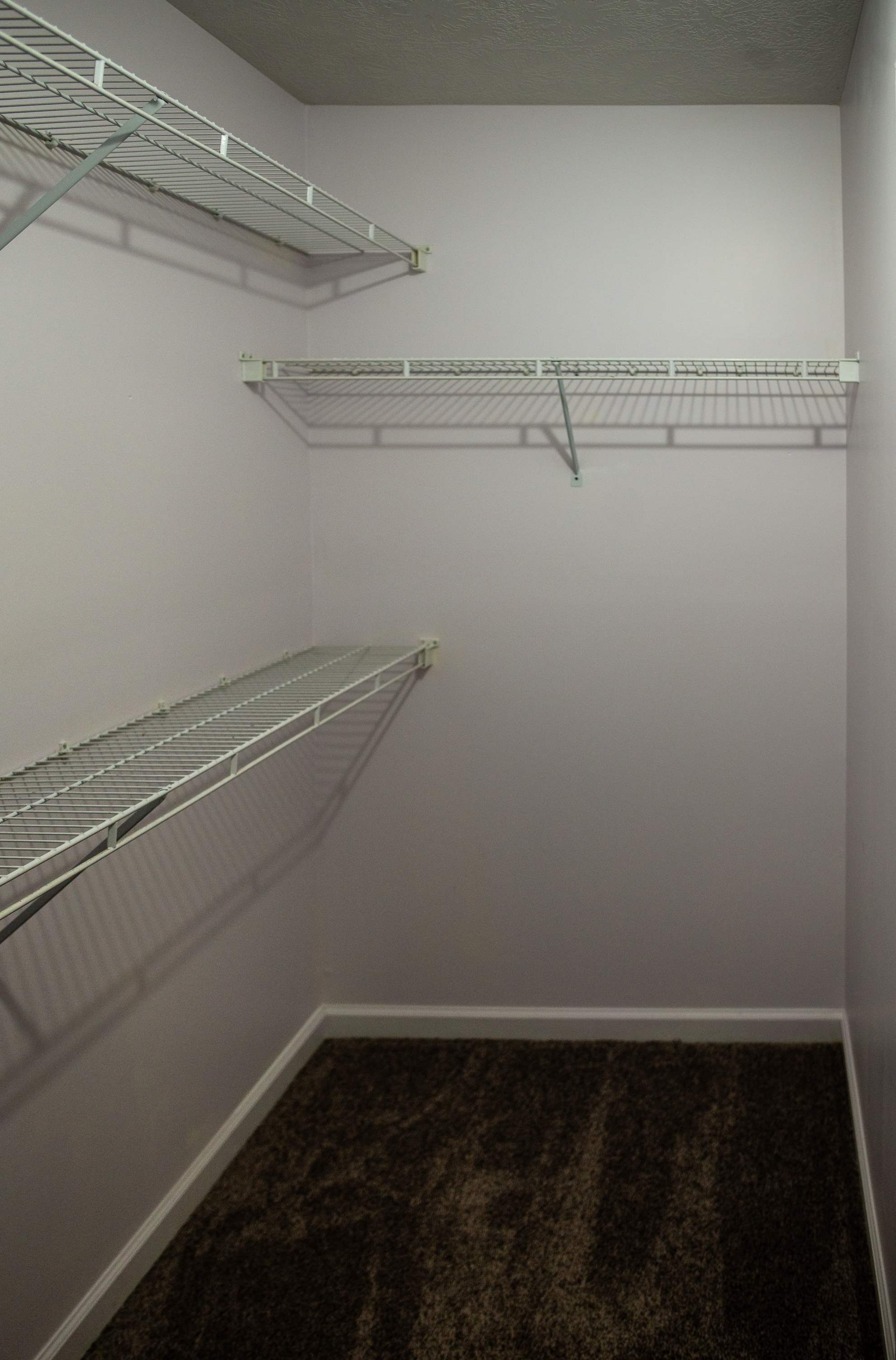 1904 Lobelia Lane, Augusta, GA 30906