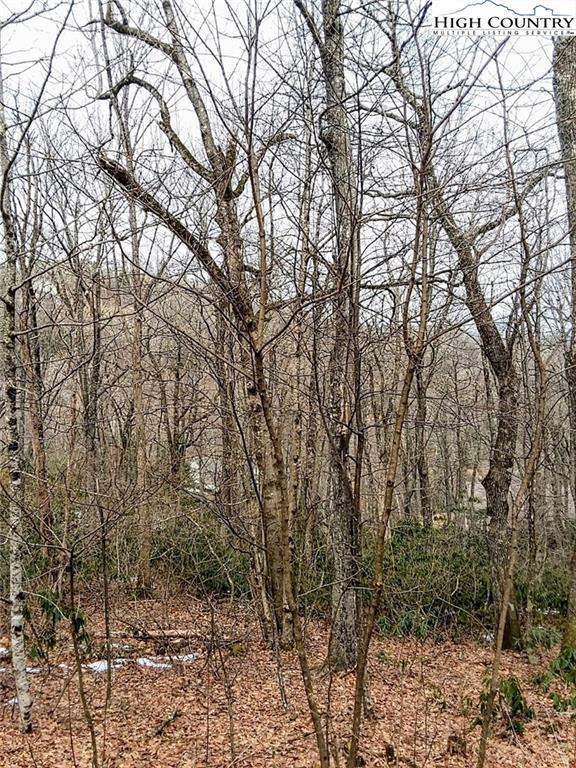 TBD Midvalley Road, Blowing Rock, NC 28605