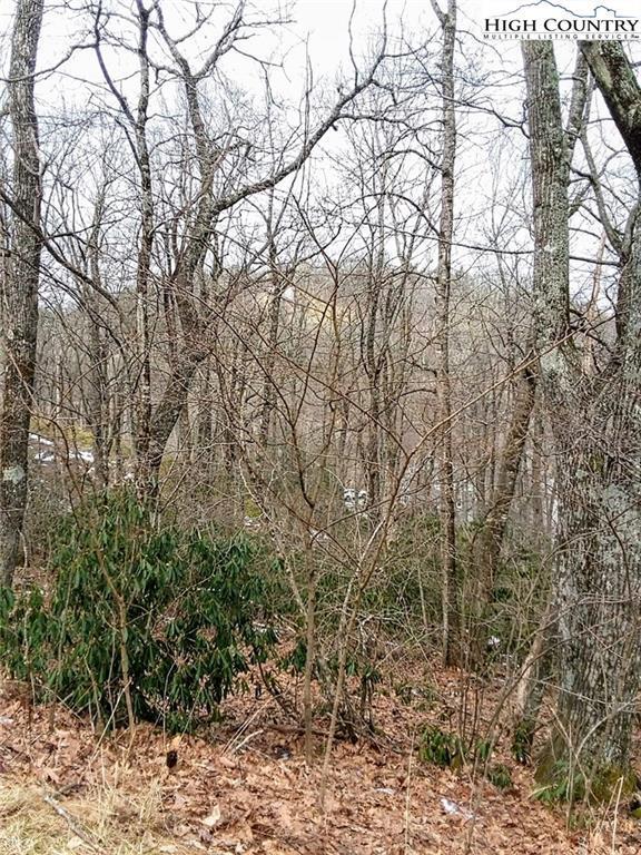 TBD Midvalley Road, Blowing Rock, NC 28605