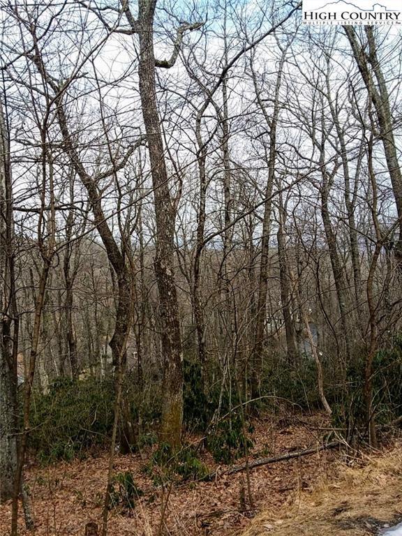 TBD Midvalley Road, Blowing Rock, NC 28605