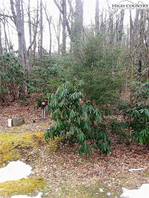 TBD Midvalley Road, Blowing Rock, NC 28605